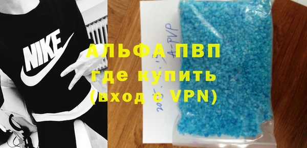 стаф Верея