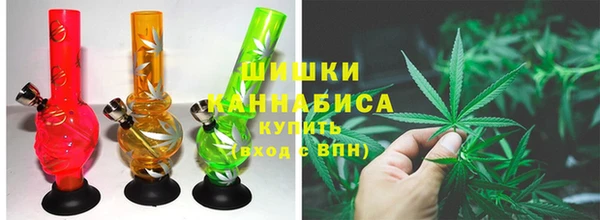 стаф Верея