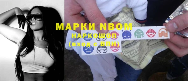 шишки Верхний Тагил
