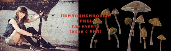 молекула духа Володарск