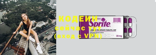 шишки Верхний Тагил