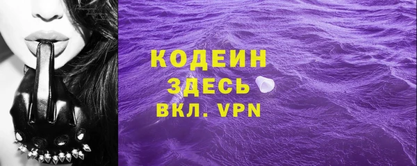 шишки Верхний Тагил