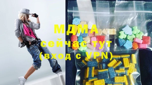стаф Верея