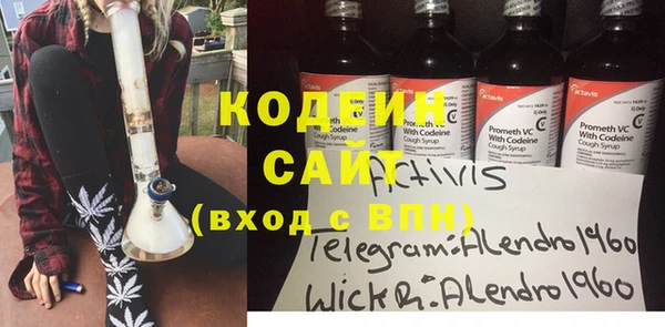 стаф Верея