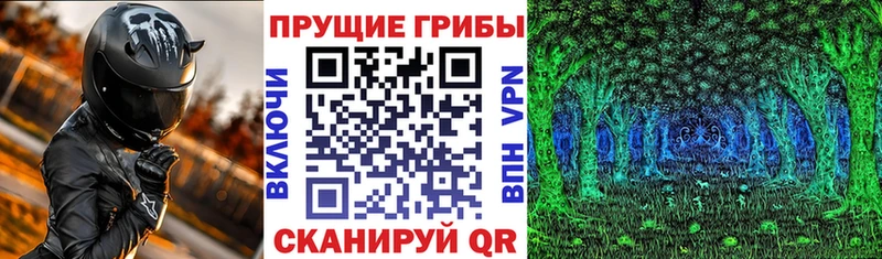 Псилоцибиновые грибы ЛСД  Черняховск 